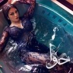 هيفاء وهبي