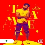 تامر حسني